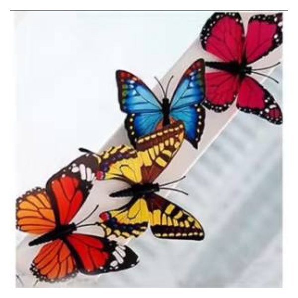 Sticker - Decorative  - M Size